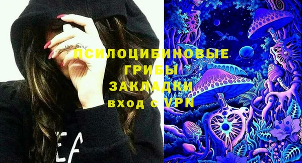 Альфа ПВП Алзамай